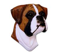 Boxer Testa Placca Figurina Fulvo Uncropped