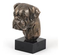 Boxer Testa Su Pietra