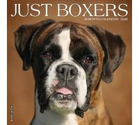 Boxers 2026 Wall Calendar