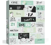 BOXILAND® Calendario dell'Avvento gatto 2026 con 24 snack per gatti 16 tipi | 24 gustosi snack e premietti per gatti in tante varietà - il calendario dell'Avvento per le feste col tuo gatto