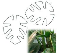 BOXOB 2pz Supporto Piante Monstera, Supporti per Steli di Piante Rampicanti in Metallo Anello Supporto per Rampino Stabilizzatore per Piante per Mantenere Le Piante in Crescita Verticale (Verde)