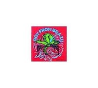 Boy from Brazil - Pointless Shoes