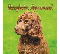 Boykin Spaniel Calendar 2026: 12 month Organizer Jan 2026 to Dec 2026