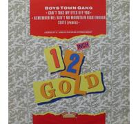 Boys Town Gang - Ain't no mountain high enough / Vinyl single [Vinyl-Single 7'']