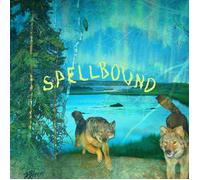 Boyscott Spellbound (Cassette)