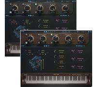 Boz Digital Labs New York L Bundle
