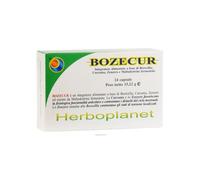 BOZECUR 24 CAPSULE