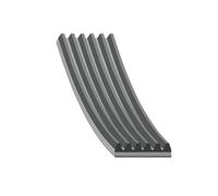 BP AD06R1705 Cinghia Ausiliaria,