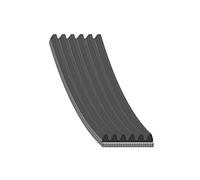 BP AD06R1820 Cinghia Ausiliaria,