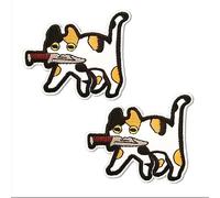 BPA 2 Toppe Termoadesivi Toppe Ricamate per Ferro da Stiro o per Cucire