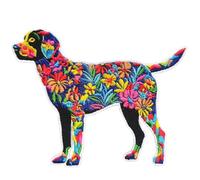 BPA Toppe Termoadesivi Toppe Ricamate per Ferro da Stiro o per Cucire