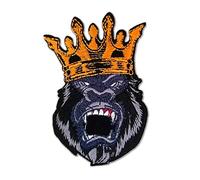 BPA Toppe Termoadesivi Toppe Ricamate per Ferro da Stiro o per Cucire