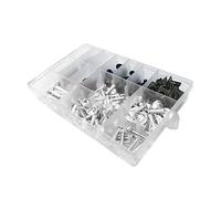 BPILOT Viti per carrozzeria per Suzuki GSXR600 GSXR750 GSXR1000 GSXR 600 GSXR 750 GSXR 1000 K1 K2 K3 K4 K5 K6 K7 K8 K9 195/PCS Kit Bullone Carena Universale Viti di Fissaggio (Color : Silver)