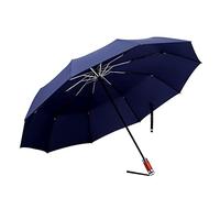 BPUIYEW Ombrello pieghevole completamente automatico ombrello compatto ombretto portatile tri-fold business ombrello vento e pioggia Design robusto(Blue)