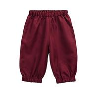 BPURB Pantaloncini da Ragazzi per Bambini Costume Coloniale del XVIII Secolo Coloniale per Ragazzi Casual Pantaloni Taglia 7 8 10 12 14 16(XS, Vino Rosso)
