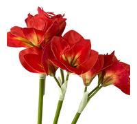 BQEE Amaryllis artificiali, 54,6 cm, rosso, bianco, rosa, set da 3, gigli finti per matrimoni, casa, ufficio, hotel, decorazione (rosso)