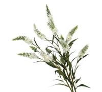 BQEE Fiori artificiali di lupino di lavanda, altezza 75 cm, 3 pezzi, 5 teste di fiori perfetti per matrimoni, ristoranti, ufficio e camera da letto (bianco)