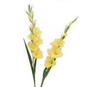 BQEE Gladiolo artificiale a stelo lungo, set di 2, decorazione per casa, matrimonio, ufficio (giallo)