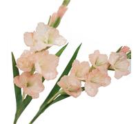 BQEE Gladiolo artificiale a stelo lungo, set di 2, decorazione per casa/matrimonio/ufficio (rosa)