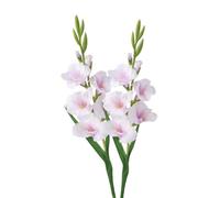 BQEE Set di 2 fiori di gladiolo artificiali a gambo lungo per decorazione di casa/matrimonio/ufficio (viola taro)