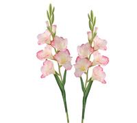 BQEE Set di 2 fiori di gladiolo artificiali a gambo lungo per decorazione di casa/matrimonio/ufficio (rosa corallo)