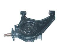 BR1719 BIRTH Braccio oscillante, Sospensione ruota per FIAT