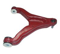 BR1777 BIRTH Braccio oscillante, Sospensione ruota per ,IVECO