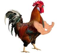 Braccia di pollo da mettere su polli per scherzi e giocattoli di arricchimento