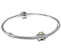 Bracciale In Argento Pandora Con Frosk Che Scala Set Regalo 68290