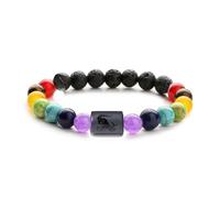 Braccialetto Spirituale con I Segni Zodiacali 7 Chakra Braccialetti Elastici per Coppie Pietra Naturale con Perline Fatte A Mano Dodici Costellazioni Regalo Di Gioielli per Donne E Uomini Capricorno