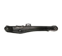 Braccio di controllo, sospensione DELPHI TC3779 Assale posteriore, sinistro, destro