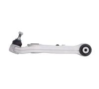 REINHOCH RH04-3024 Braccio oscillante, sospensione ruota