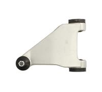 REINHOCH RH04-1043 Braccio oscillante, sospensione ruota