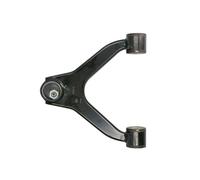 REINHOCH RH04-1053 Braccio oscillante, Sospensione ruota per IVECO