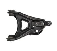 REINHOCH RH04-2040 Braccio oscillante, sospensione ruota