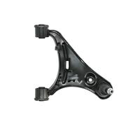 REINHOCH RH04-5055 Braccio oscillante, sospensione ruota