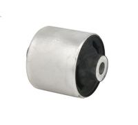 Supporto, Braccio oscillante DELPHI TD1366W per SEAT EXEO (3R2) 1.6 2009-201