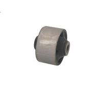 Braccio di montaggio, di controllo/longitudinale DELPHI TD1485W per XG 3 1998-