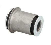 Braccio di montaggio, di controllo/longitudinale DELPHI TD1810W per GX 4.7 2001-