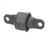 Braccio di montaggio, di controllo/longitudinale DELPHI TD340W per 3 2 2003-2009