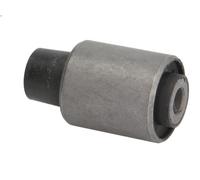 Braccio di montaggio, di controllo/longitudinale DELPHI TD415W per GT 2 2003-