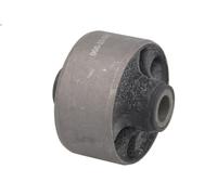 Braccio di montaggio, di controllo/longitudinale DELPHI TD718W per i10 I 1 2011-