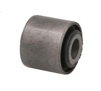 Braccio di montaggio, di controllo/longitudinale FAG 829 0159 10 per GT 2 2003-