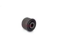 Braccio di montaggio, di controllo/longitudinale FAG 829 0600 10 per C6 3 2005-