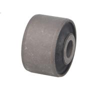 Braccio di montaggio, di controllo/longitudinale MONROE L12800 per GT 2 2006-