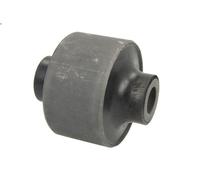 Braccio di montaggio, di controllo/longitudinale per NV400 Autobus 2.3 2011-2016