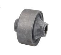 Braccio di montaggio, di controllo/longitudinale REINHOCH CALIBER 1.8 2006-2009