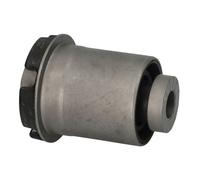 Braccio di montaggio, di controllo/longitudinale REINHOCH F-150 4.2 2007-2009