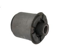 Braccio di montaggio, di controllo/longitudinale REINHOCH NITRO 4 2006-2007