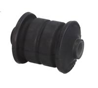 Braccio di montaggio, di controllo/longitudinale REINHOCH RH15-0008